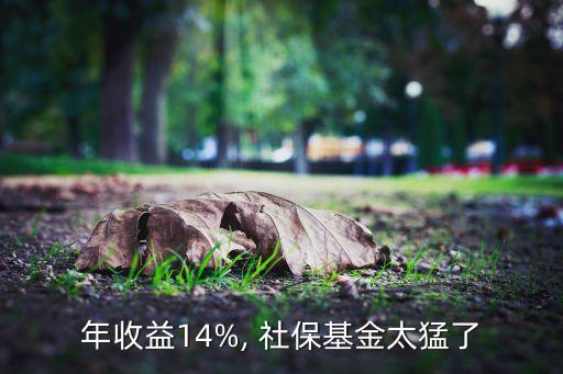 年收益14%, 社保基金太猛了