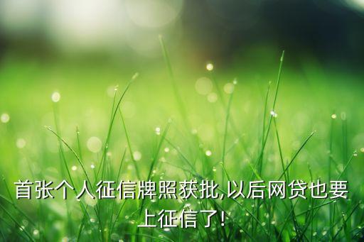 首張個(gè)人征信牌照獲批,以后網(wǎng)貸也要上征信了!