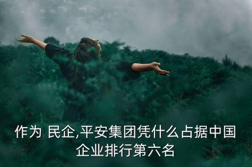 作為 民企,平安集團(tuán)憑什么占據(jù)中國企業(yè)排行第六名