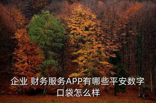 公司財(cái)務(wù)app,小公司財(cái)務(wù)軟件