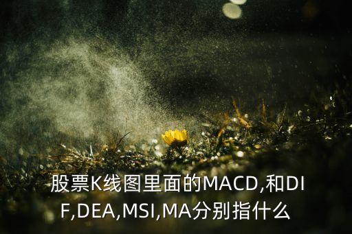  股票K線圖里面的MACD,和DIF,DEA,MSI,MA分別指什么