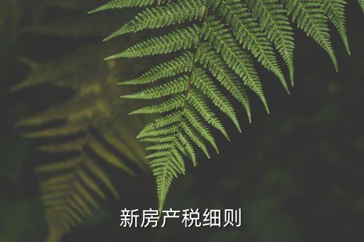 新房產(chǎn)稅細則