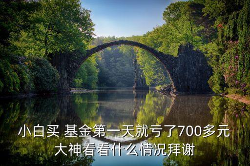 小白買 基金第一天就虧了700多元大神看看什么情況拜謝