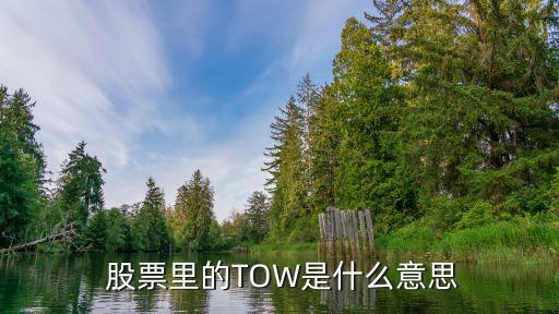  股票里的TOW是什么意思