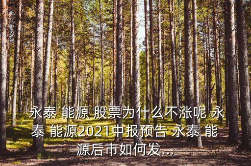  永泰 能源 股票為什么不漲呢 永泰 能源2021中報預告 永泰 能源后市如何發(fā)...