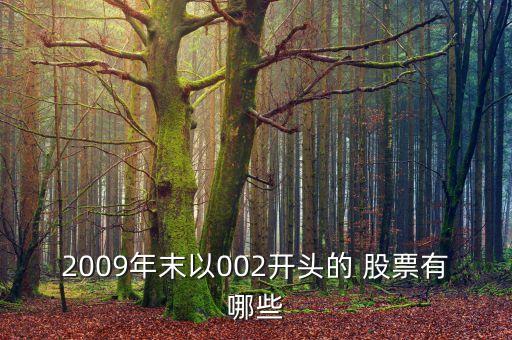 2009年末以002開(kāi)頭的 股票有哪些