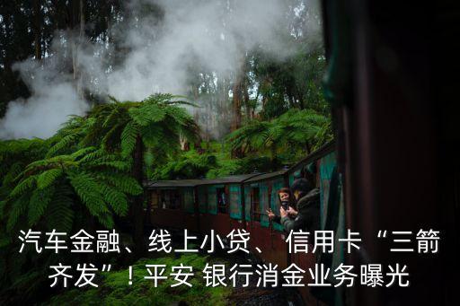 汽車金融、線上小貸、 信用卡“三箭齊發(fā)”! 平安 銀行消金業(yè)務曝光