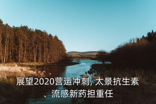 太景醫(yī)藥研發(fā)公司,中國醫(yī)藥研發(fā)公司排名