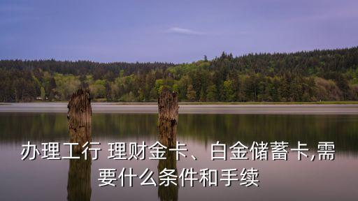 辦理工行 理財金卡、白金儲蓄卡,需要什么條件和手續(xù)