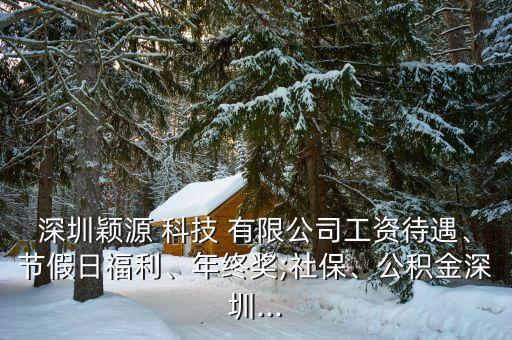 深圳穎源 科技 有限公司工資待遇、節(jié)假日福利、年終獎;社保、公積金深圳...