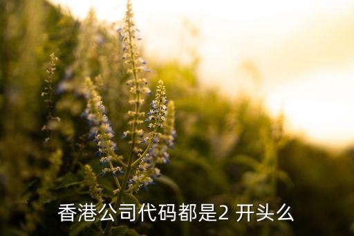 2字開(kāi)頭的是什么股票,4字開(kāi)頭的股票