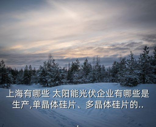 上海有哪些 太陽能光伏企業(yè)有哪些是生產(chǎn),單晶體硅片、多晶體硅片的...