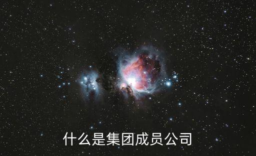 什么是集團成員公司