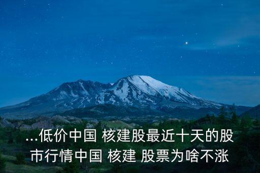 ...低價(jià)中國(guó) 核建股最近十天的股市行情中國(guó) 核建 股票為啥不漲