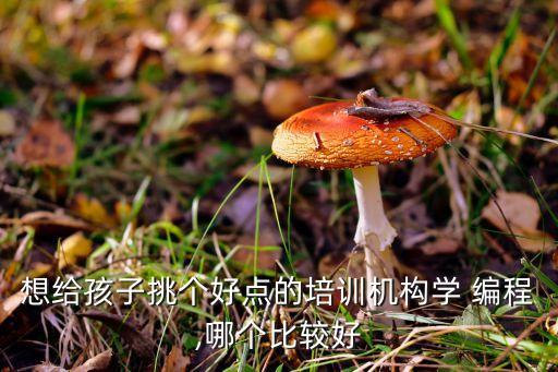 想給孩子挑個好點的培訓機構(gòu)學 編程,哪個比較好