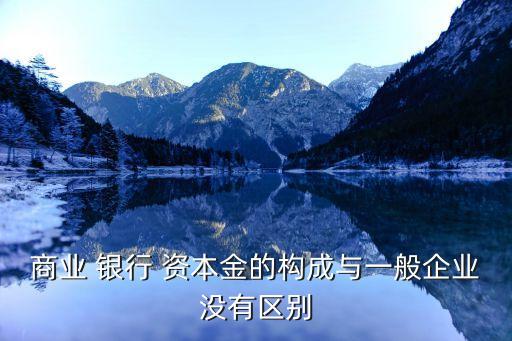 商業(yè) 銀行 資本金的構(gòu)成與一般企業(yè)沒有區(qū)別