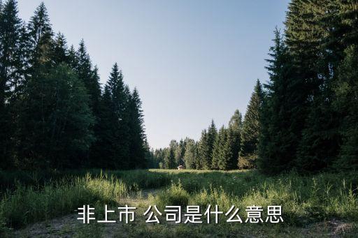  非上市 公司是什么意思