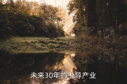 上海未來30年的主導產(chǎn)業(yè)