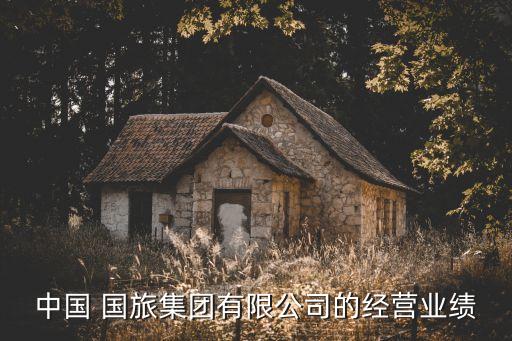 中國(guó)國(guó)旅利潤(rùn)分析表