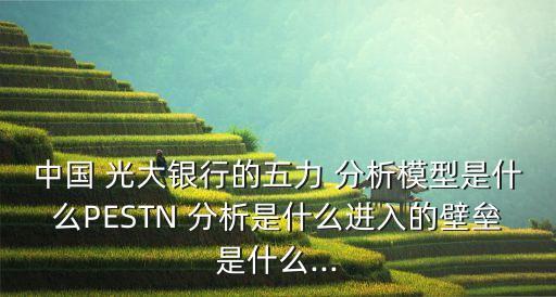 中國(guó) 光大銀行的五力 分析模型是什么PESTN 分析是什么進(jìn)入的壁壘是什么...