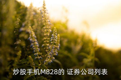 華寶證券旗下有無期貨公司