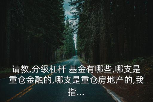 請教,分級杠桿 基金有哪些,哪支是重倉金融的,哪支是重倉房地產(chǎn)的,我指...