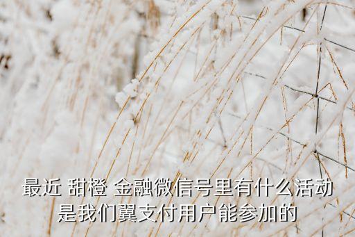 甜橙金融集團,上海甜橙金融有限公司