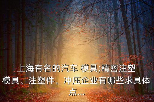  上海有名的汽車 模具;精密注塑 模具、注塑件、沖壓企業(yè)有哪些求具體點(diǎn)...