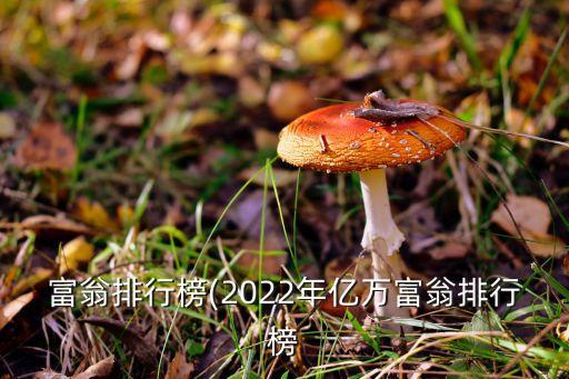 富翁排行榜(2022年億萬(wàn)富翁排行榜