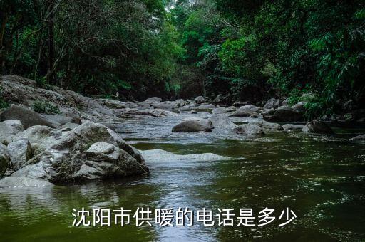 沈陽(yáng)蘇家屯金山熱電有限公司,阜新金山煤矸石熱電有限公司