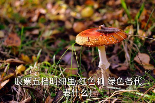  股票五檔明細(xì)里,紅色和 綠色各代表什么!