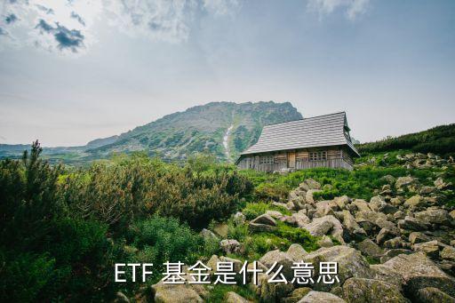 etf基金是什么,ETF基金是什么風(fēng)險(xiǎn)類(lèi)型