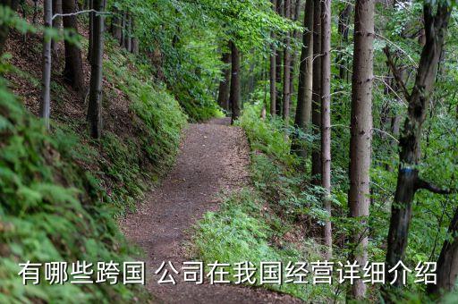 有哪些跨國 公司在我國經(jīng)營詳細(xì)介紹