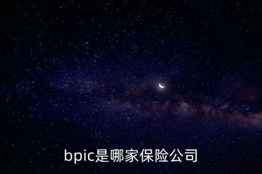 bpic是哪家保險(xiǎn)公司