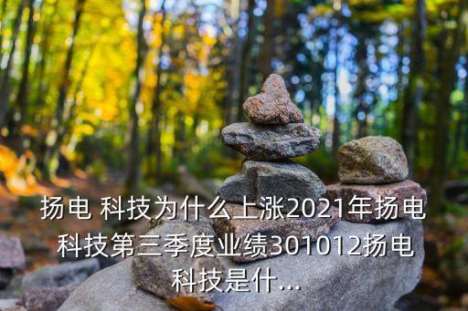 揚(yáng)電 科技為什么上漲2021年揚(yáng)電 科技第三季度業(yè)績301012揚(yáng)電 科技是什...