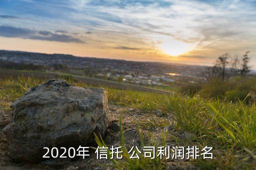 2020年 信托 公司利潤(rùn)排名