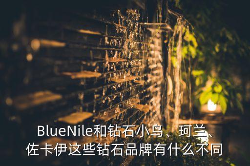 BlueNile和鉆石小鳥、珂蘭、佐卡伊這些鉆石品牌有什么不同