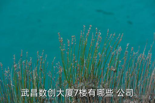 海航創(chuàng)新公司