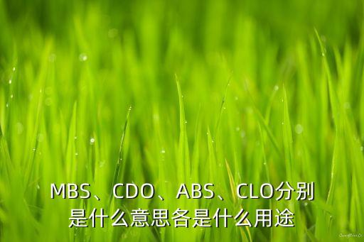 MBS、CDO、ABS、CLO分別是什么意思各是什么用途