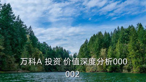  萬科A 投資 價(jià)值深度分析000002