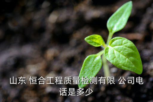 山東 恒合工程質(zhì)量檢測有限 公司電話是多少