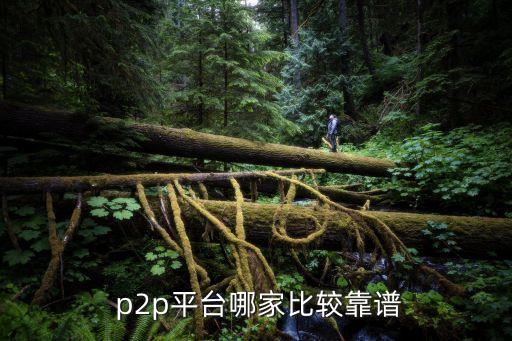  p2p平臺(tái)哪家比較靠譜