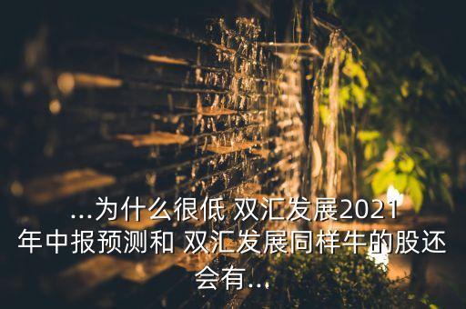 ...為什么很低 雙匯發(fā)展2021年中報(bào)預(yù)測和 雙匯發(fā)展同樣牛的股還會(huì)有...