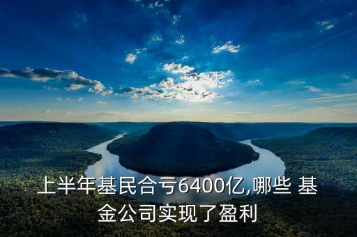 上半年基民合虧6400億,哪些 基金公司實(shí)現(xiàn)了盈利