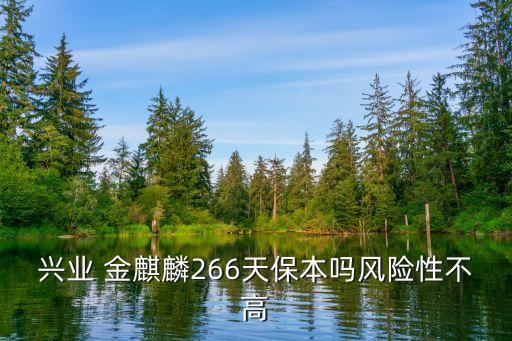 興業(yè) 金麒麟266天保本嗎風(fēng)險(xiǎn)性不高