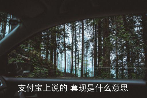 支付寶上說的 套現(xiàn)是什么意思