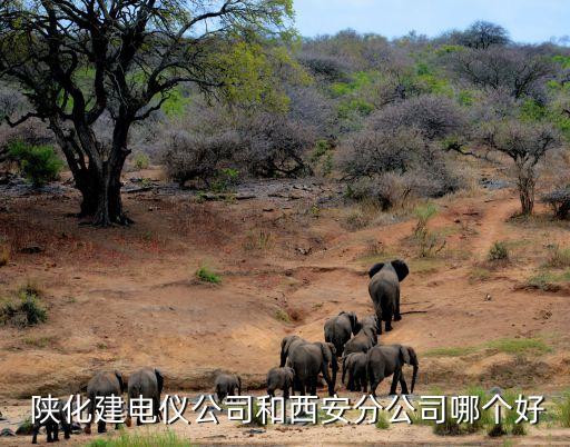 延長集團陜化建,陜化建集團有限公司招聘信息