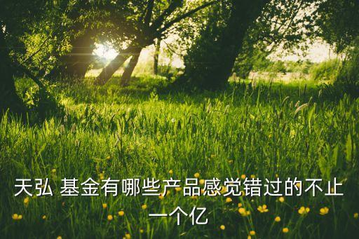 天弘 基金有哪些產(chǎn)品感覺(jué)錯(cuò)過(guò)的不止一個(gè)億