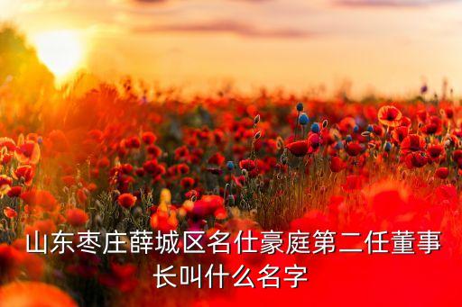  山東棗莊薛城區(qū)名仕豪庭第二任董事長(zhǎng)叫什么名字