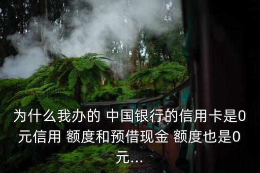 為什么我辦的 中國(guó)銀行的信用卡是0元信用 額度和預(yù)借現(xiàn)金 額度也是0元...